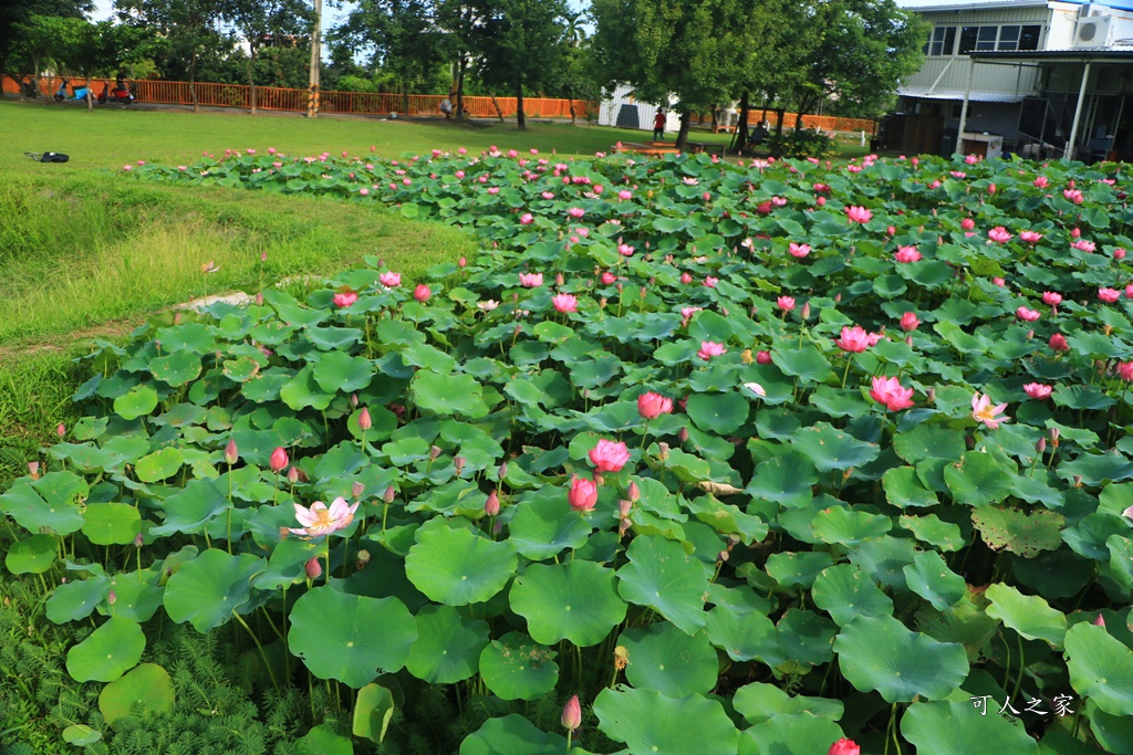 心田花園