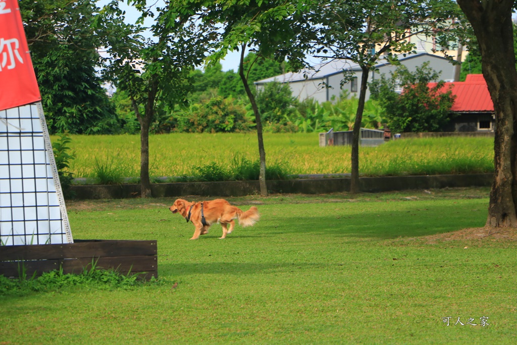 心田花園