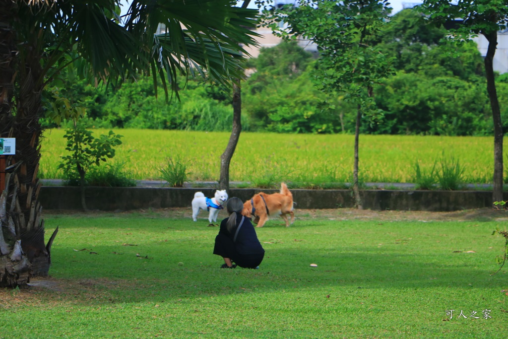 心田花園