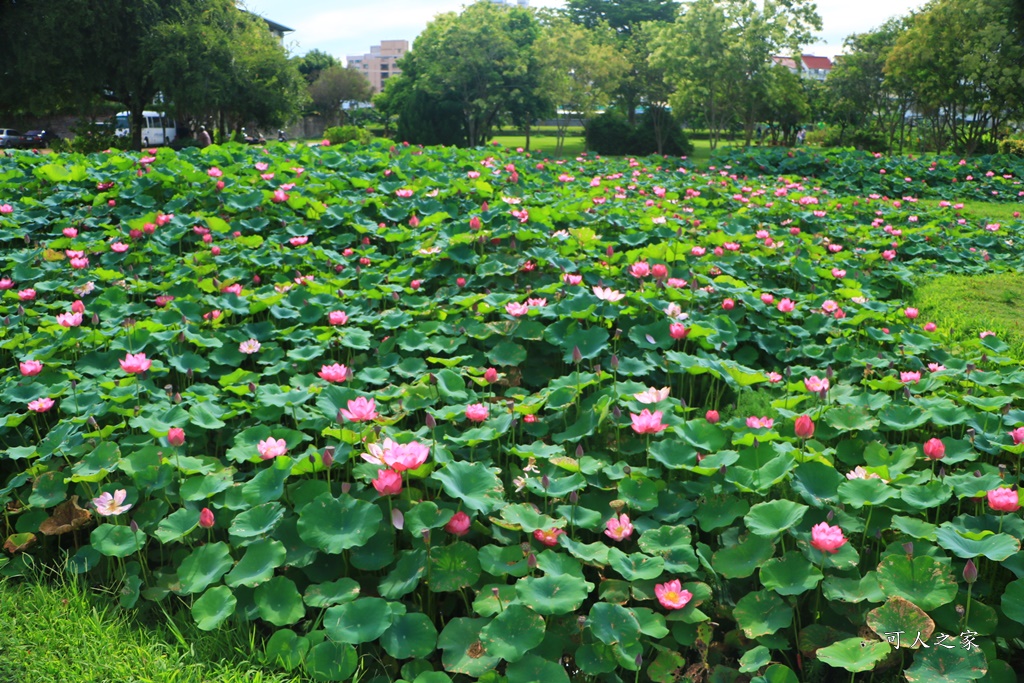 心田花園