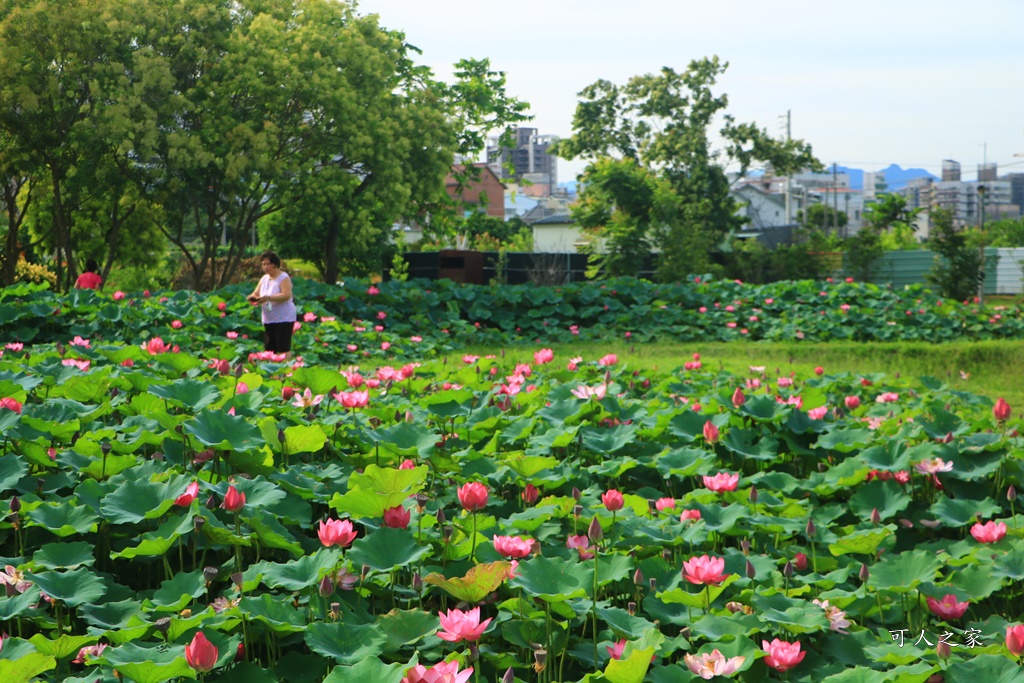 心田花園