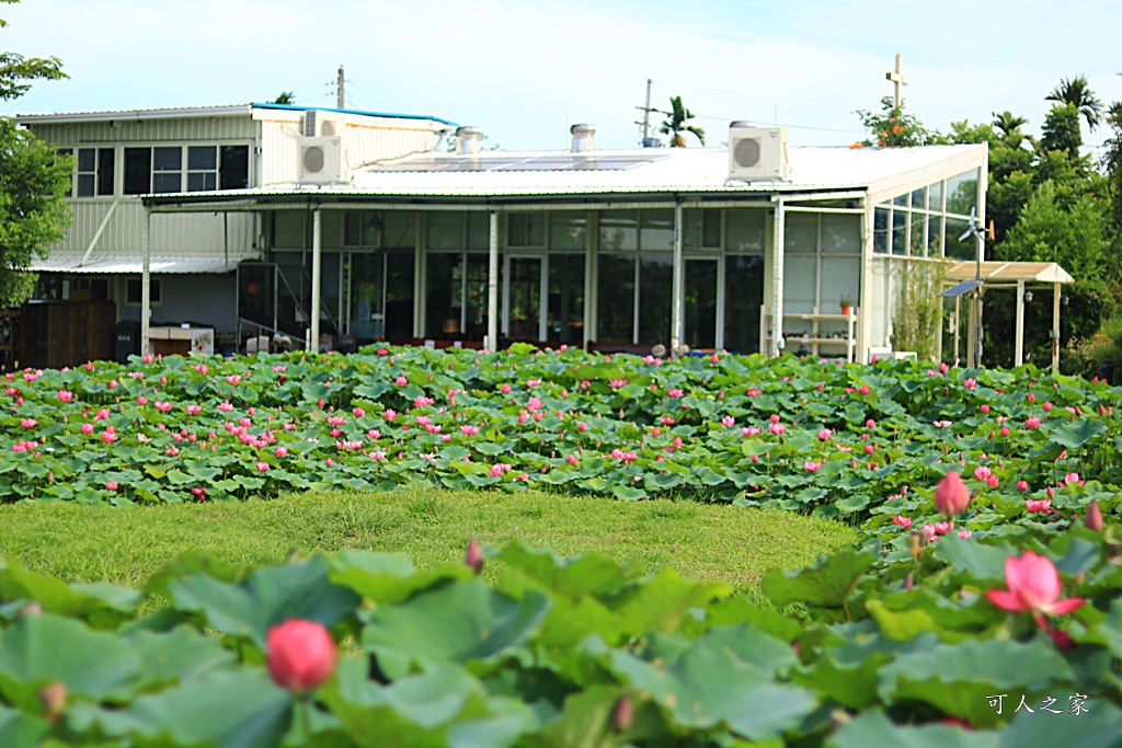 心田花園