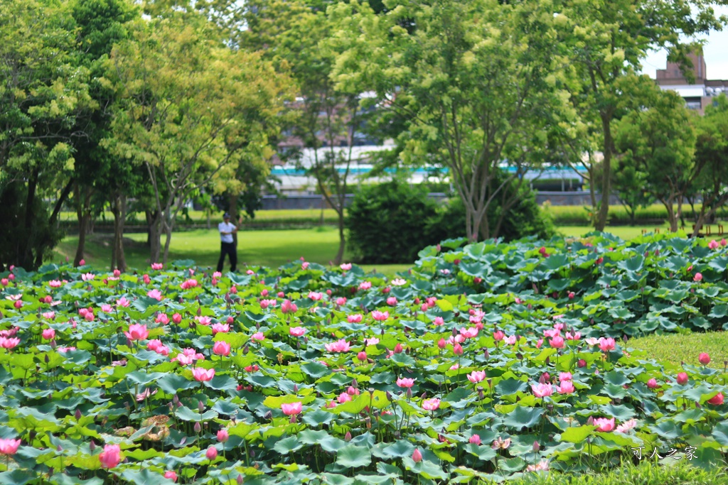 心田花園