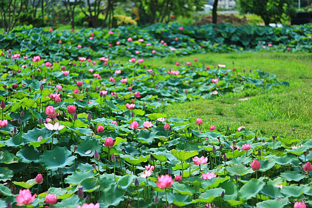 心田花園