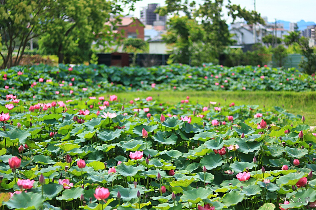 心田花園