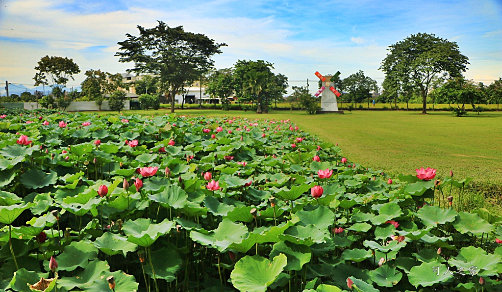 心田花園