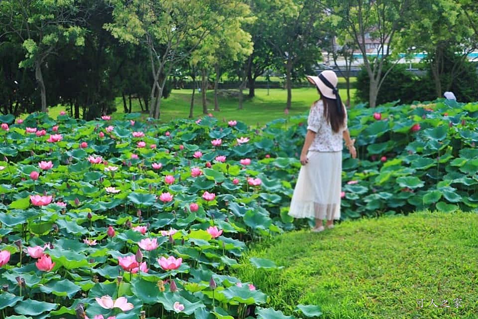 心田花園