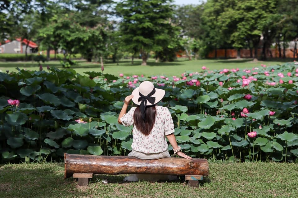 心田花園