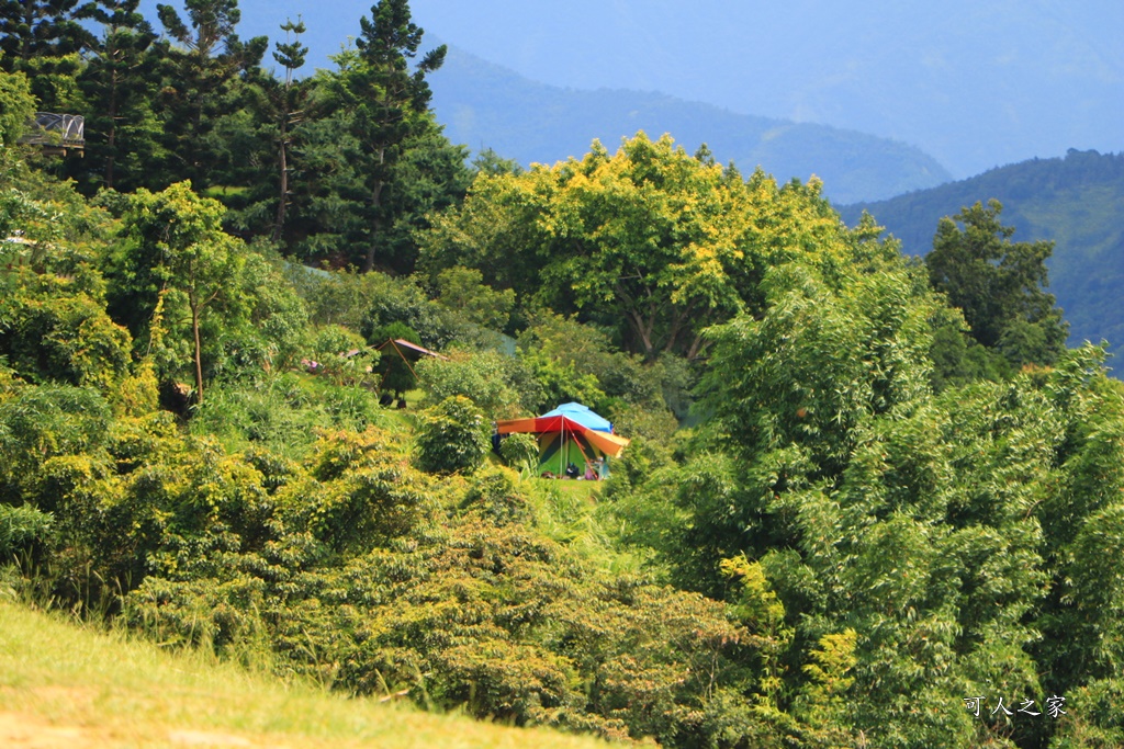 虎頭山飛行傘基地 建議假日來訪 瓢虫屋