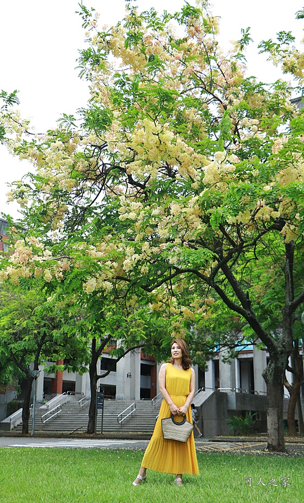 嘉義中正大學 彩虹旃那