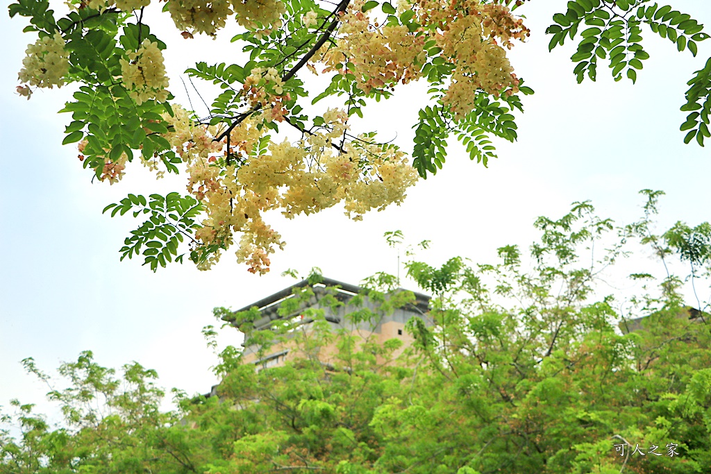 嘉義中正大學 彩虹旃那