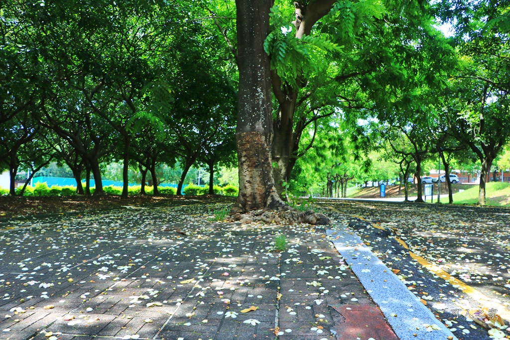 嘉義中正大學 彩虹旃那