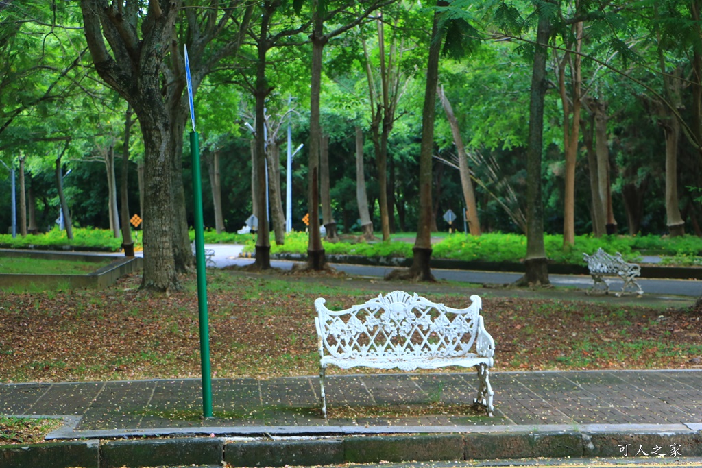 嘉義中正大學 彩虹旃那