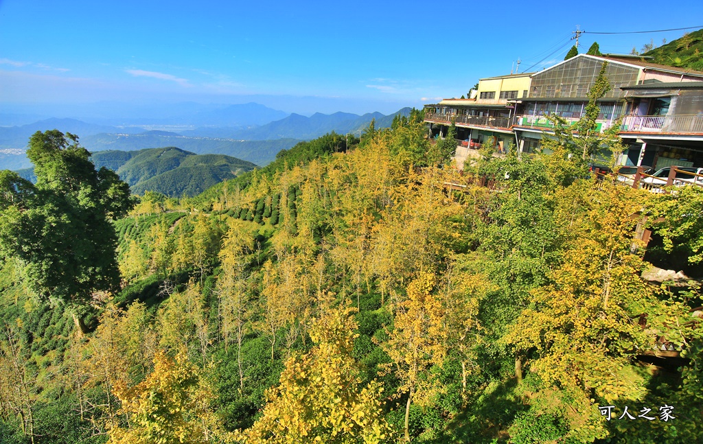 武岫農圃、大崙山觀景台、銀杏森林