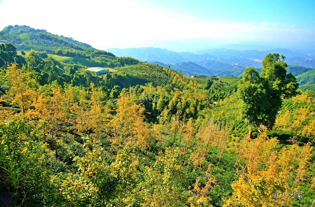 武岫農圃、大崙山觀景台、銀杏森林