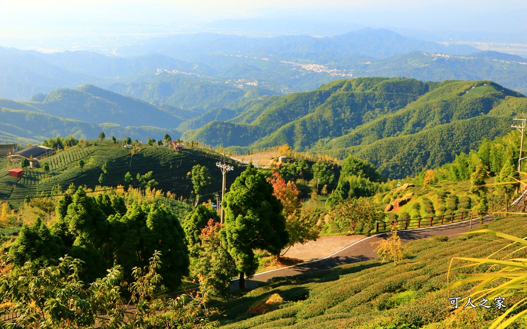 武岫農圃、大崙山觀景台、銀杏森林