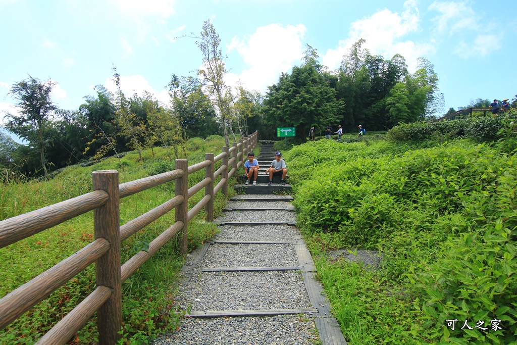 武岫農圃、大崙山觀景台、銀杏森林