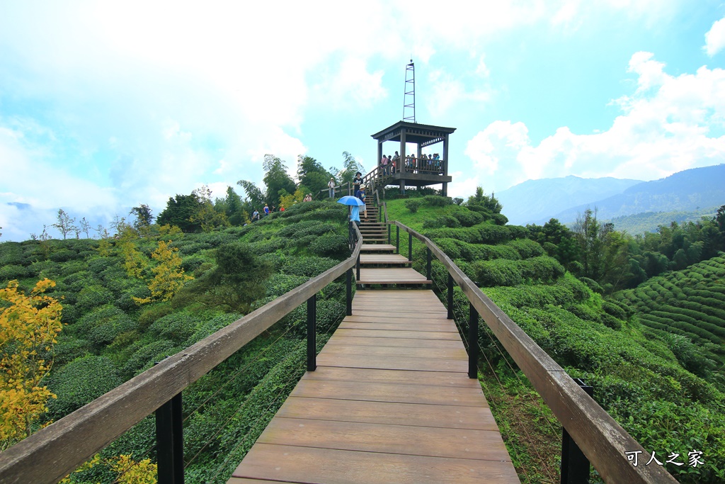 武岫農圃、大崙山觀景台、銀杏森林