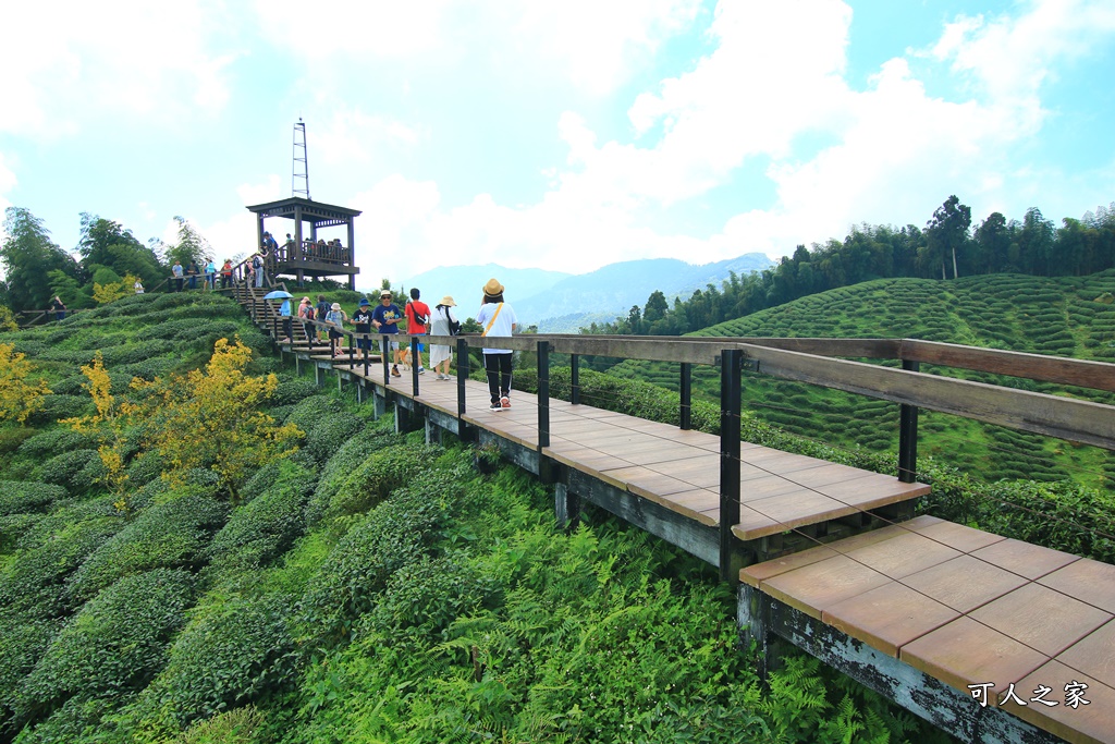 武岫農圃、大崙山觀景台、銀杏森林