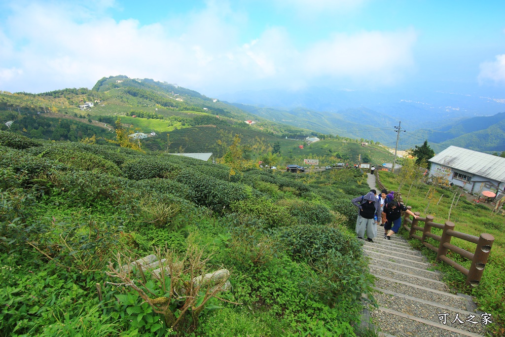 武岫農圃、大崙山觀景台、銀杏森林