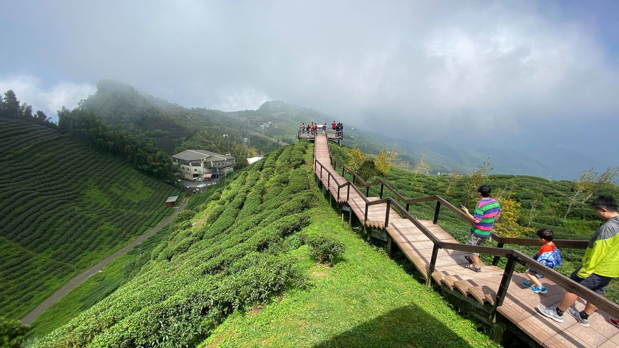 武岫農圃、大崙山觀景台、銀杏森林