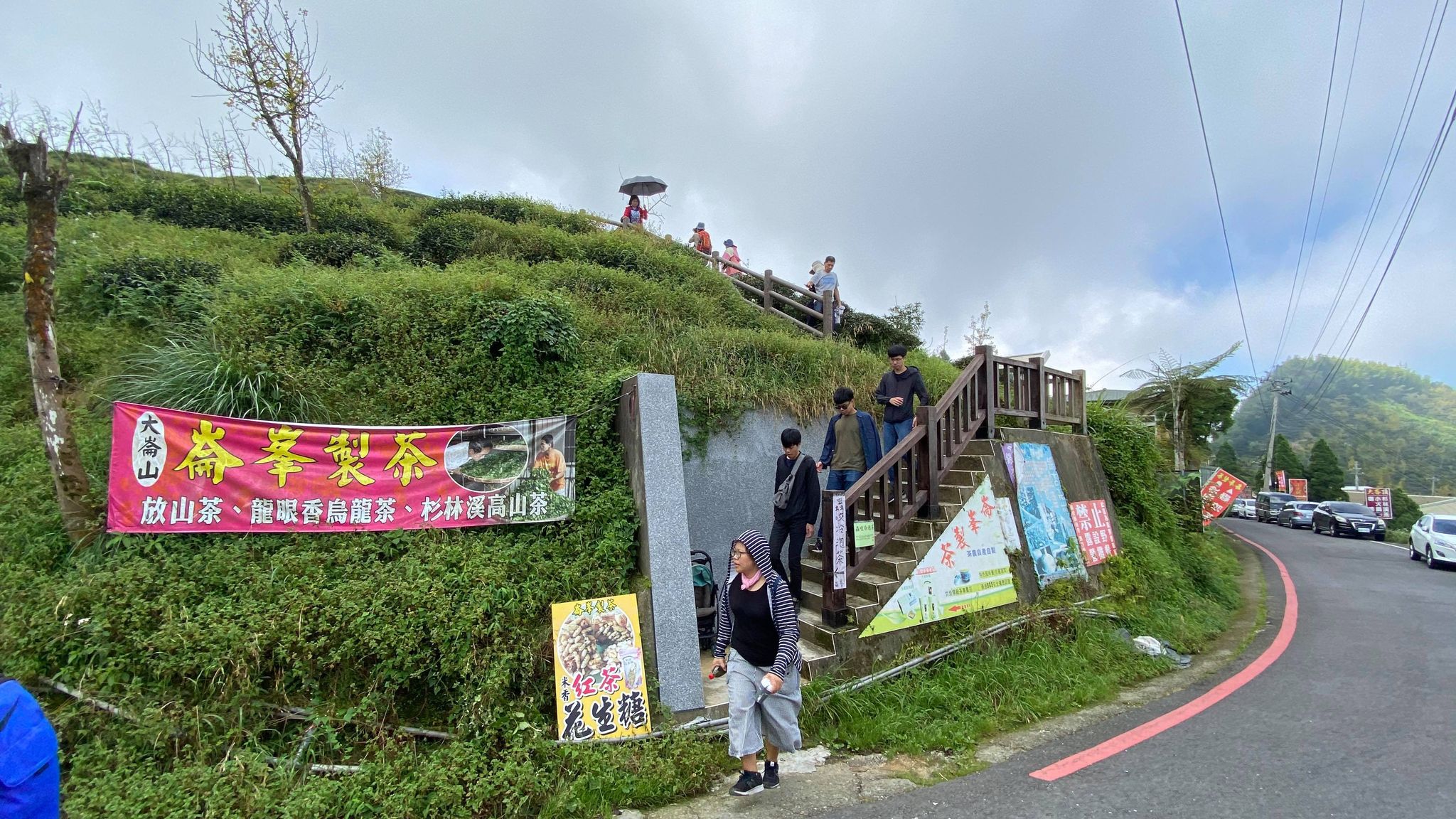 武岫農圃、大崙山觀景台、銀杏森林