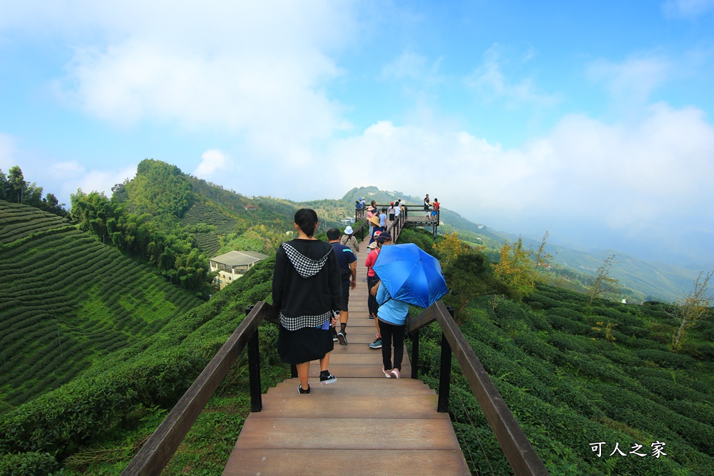 武岫農圃、大崙山觀景台、銀杏森林