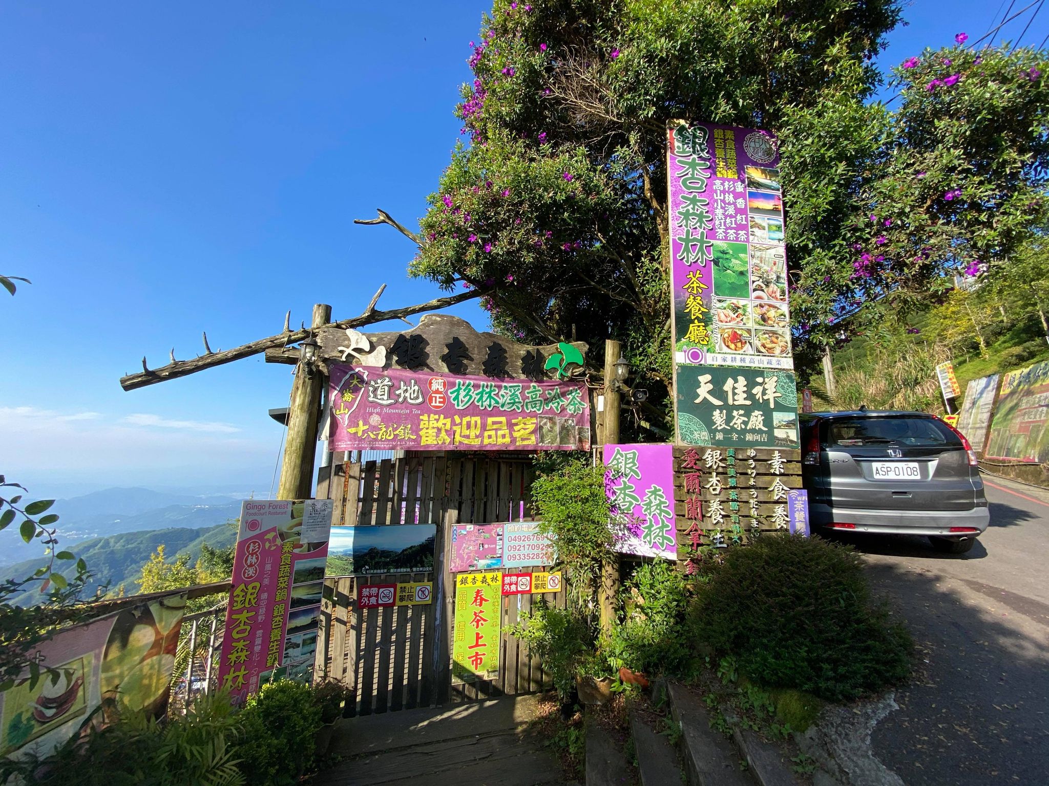 武岫農圃、大崙山觀景台、銀杏森林