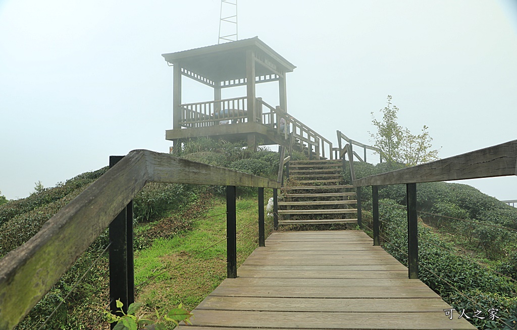 武岫農圃、大崙山觀景台、銀杏森林