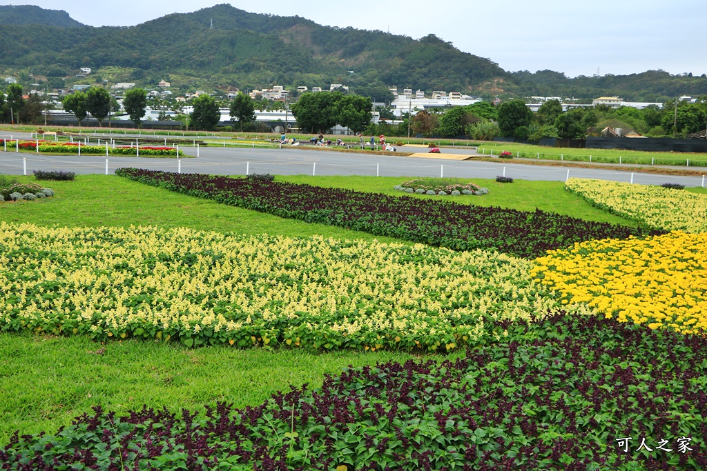 2020新社花海節