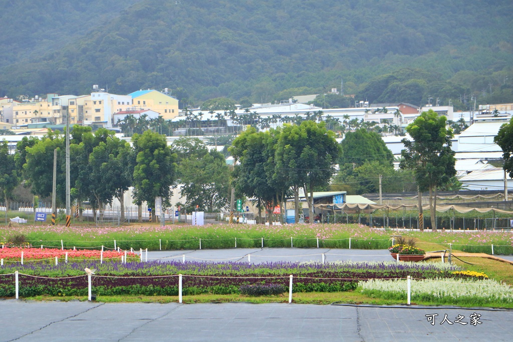 2020新社花海節