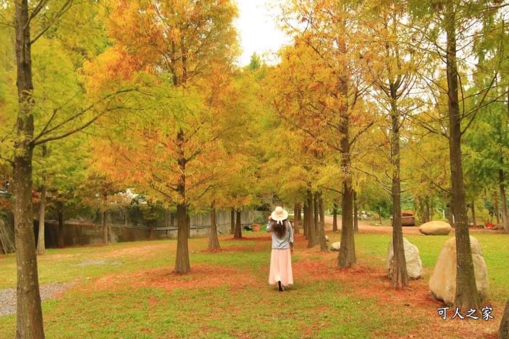 松之戀景觀餐廳