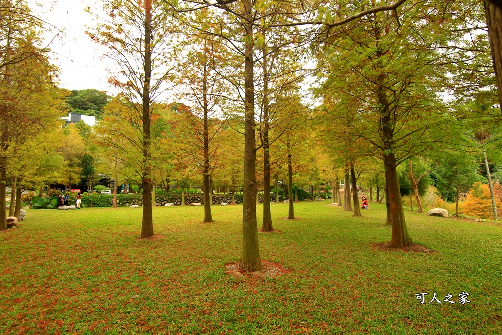 松之戀景觀餐廳