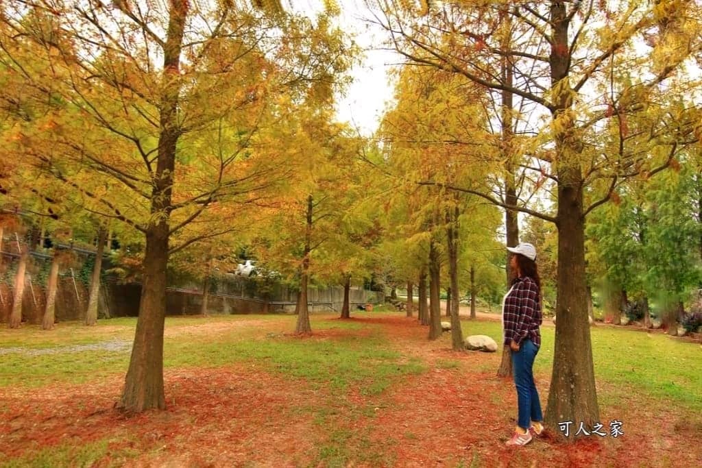 松之戀景觀餐廳