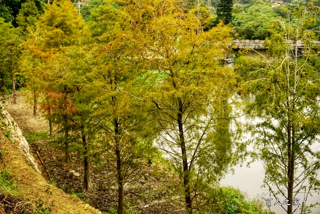 松之戀景觀餐廳