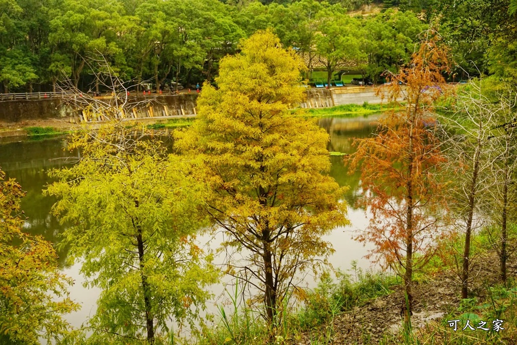 松之戀景觀餐廳