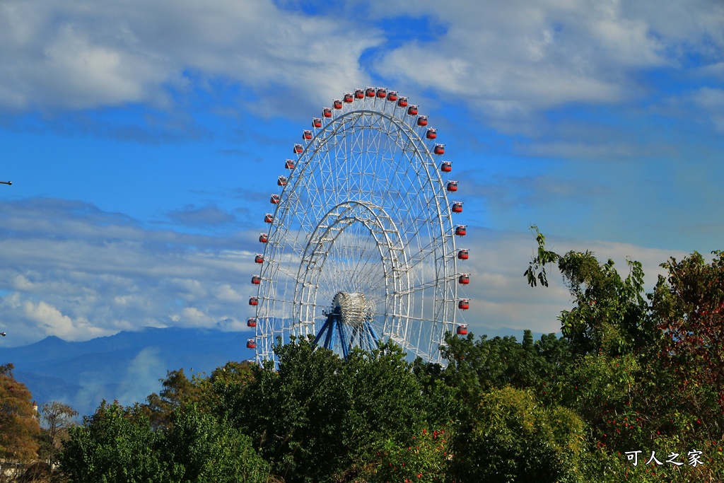 月眉落羽松大道、麗寶樂園落羽松大道