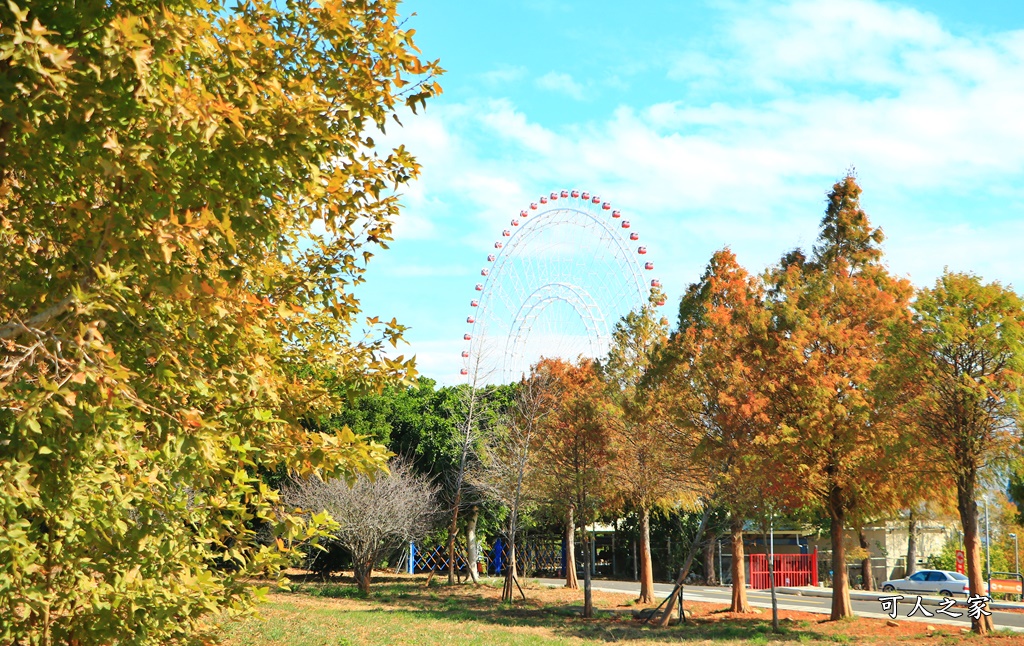 月眉落羽松大道、麗寶樂園落羽松大道