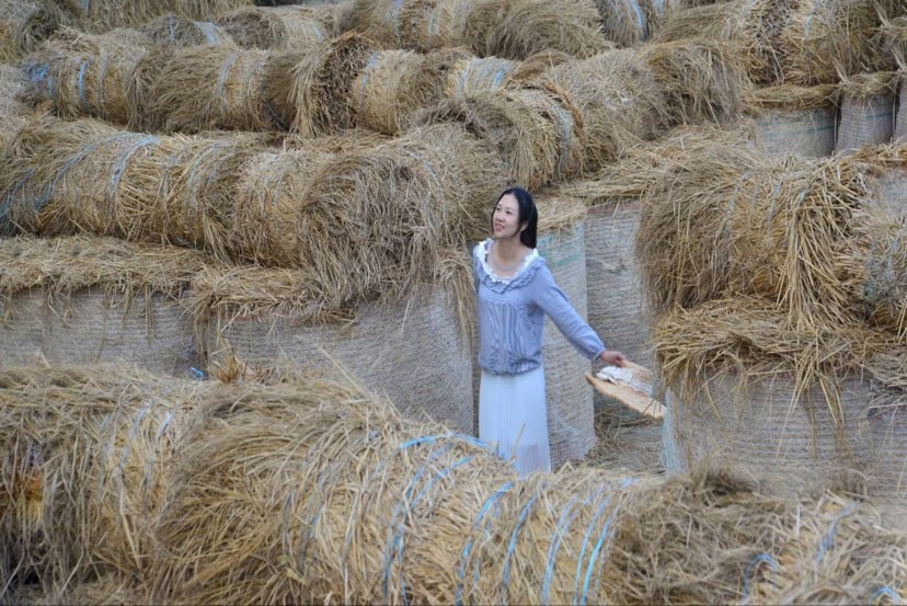 大埤稻草文化藝術季