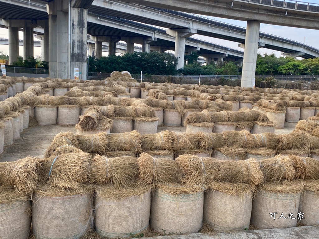 大埤稻草文化藝術季