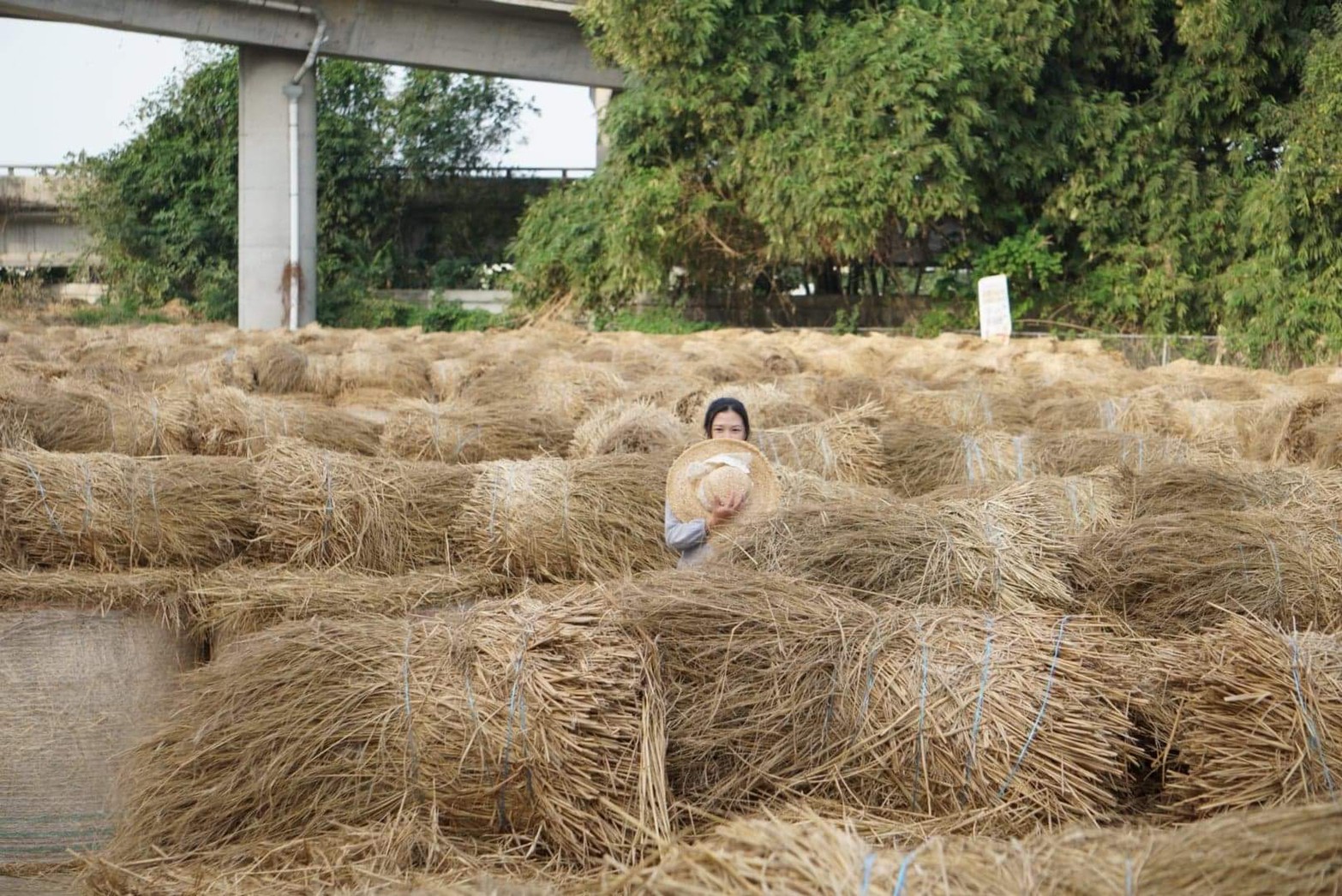 大埤稻草文化藝術季