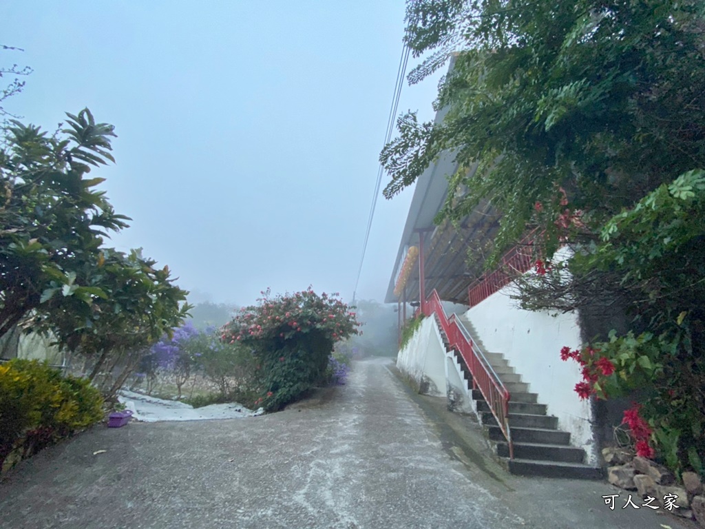 南平山道田生態農場,南投秘境,紫色隧道