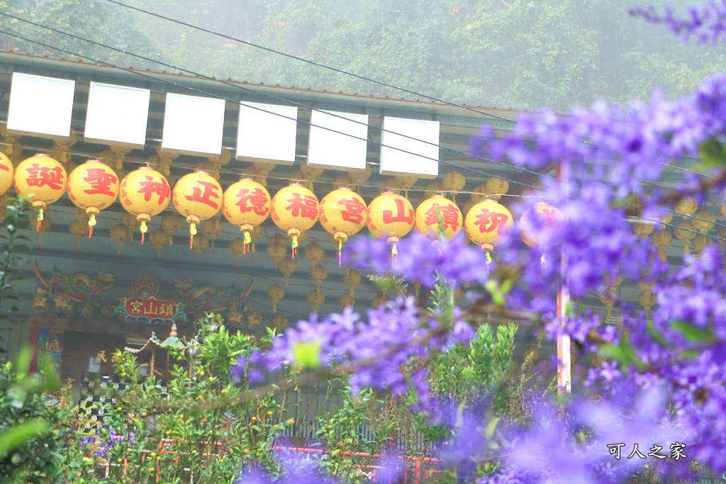 南平山道田生態農場,南投秘境,紫色隧道