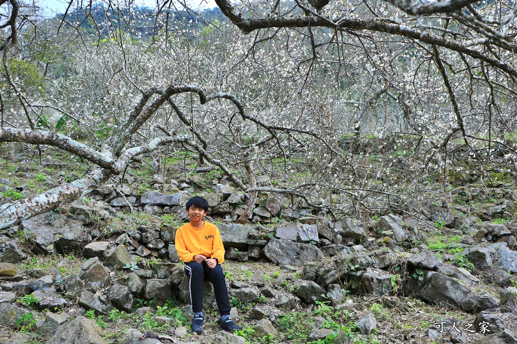 互助國小彭家梅園