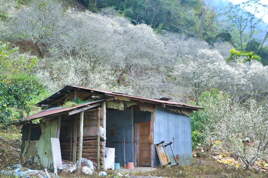 互助國小彭家梅園