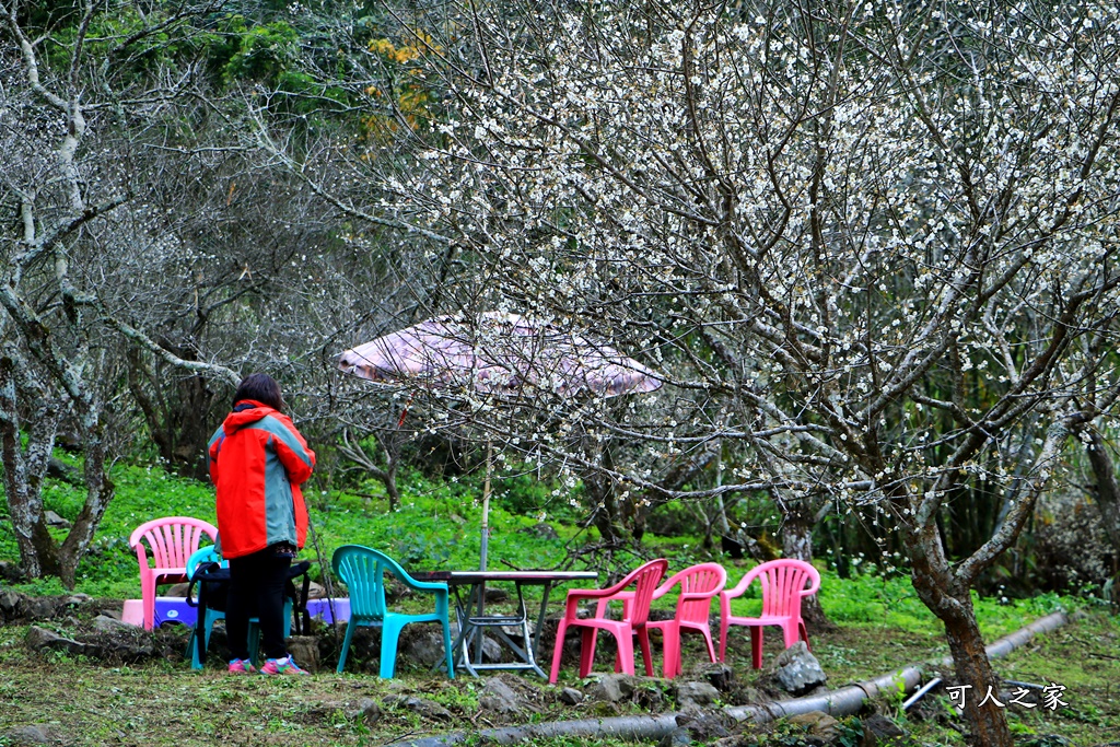 互助國小彭家梅園