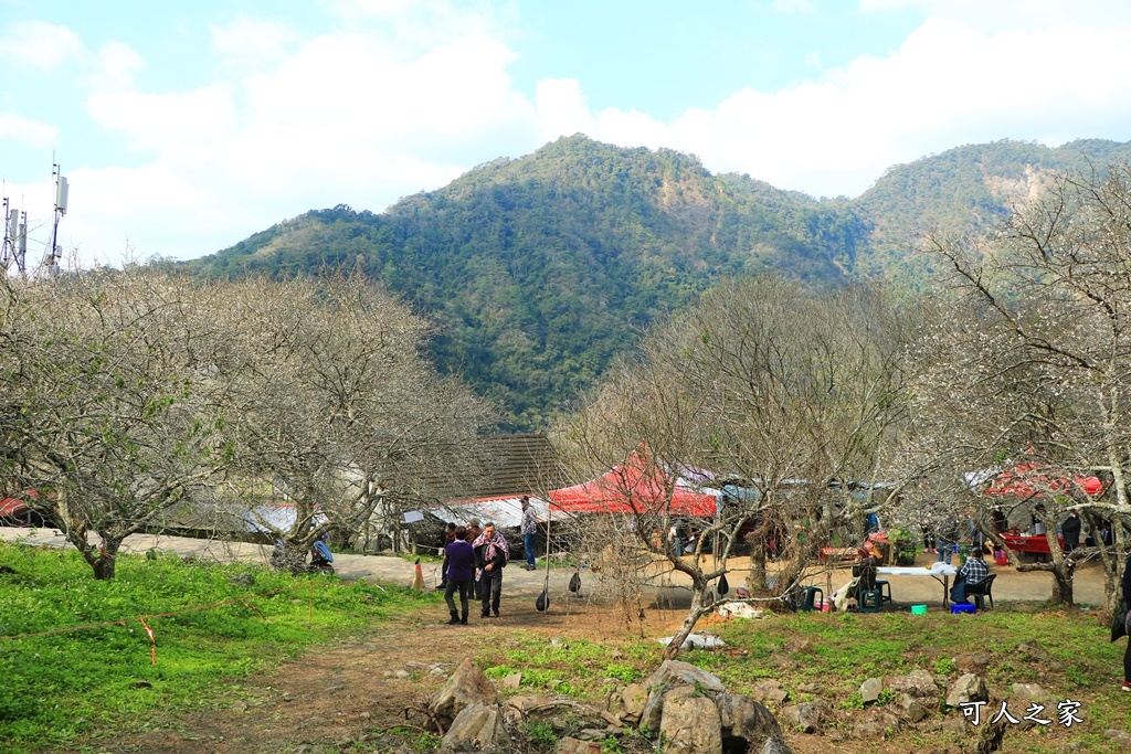 互助國小彭家梅園