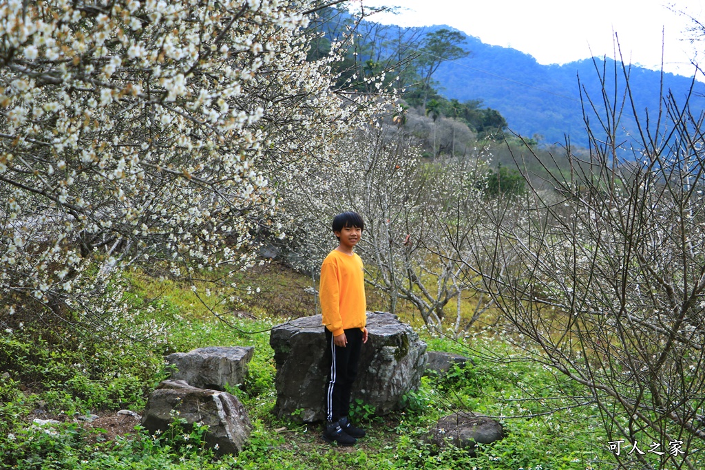 互助國小彭家梅園