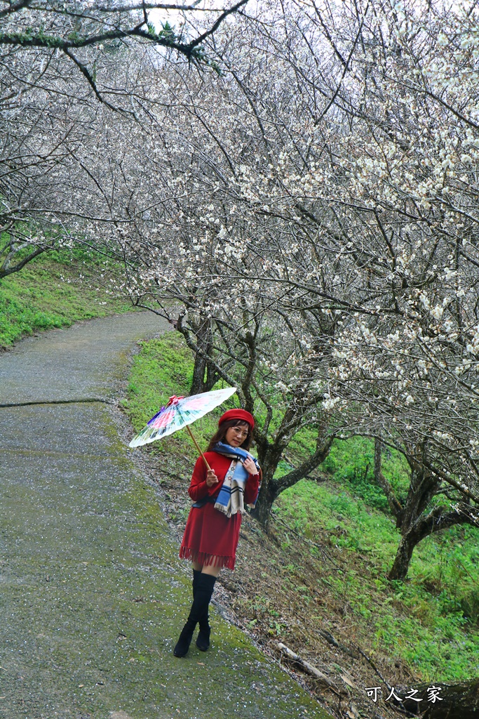 7號梅莊、九份二山