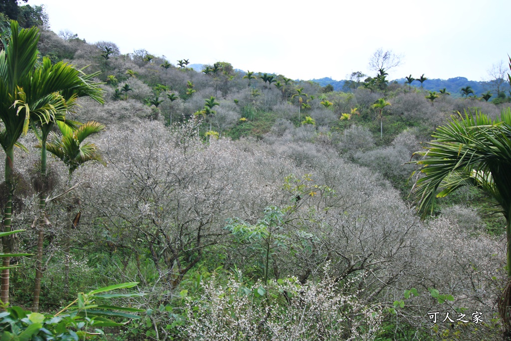 7號梅莊、九份二山